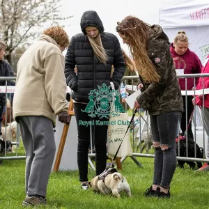 Scruffts Newbury 2019