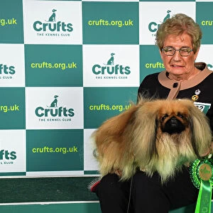 Sergio Amien from Spain, with Connon, a Yorkshire Terrier, which was the Best of Breed winner today (Sunday 12. 03. 23), the last day of Crufts 2023, at the NEC Birmingham