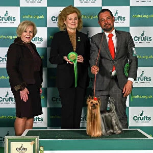 Sergio Amien from Spain, with Connon, a Yorkshire Terrier, which was the Best in Group winner today (Sunday 12. 03. 23), the last day of Crufts 2023, at the NEC Birmingham. Sergio Amien from Spain, with Connon, a Yorkshire Terrier