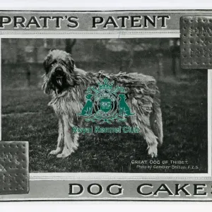 Spratts Patent Dog Cakes Spratts Patent Dog Cakes