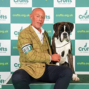 Stephen Gething from Sheffield with Tucker, a Boxer, which was the Best of Breed winner today (Friday 10. 03. 23), the second day of Crufts 2023, at the NEC Birmingham