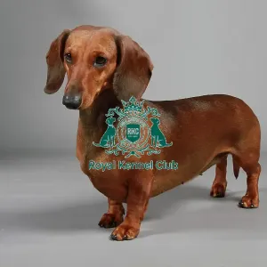 stock images, stock, KCPL, KCPL_Stock, commerical