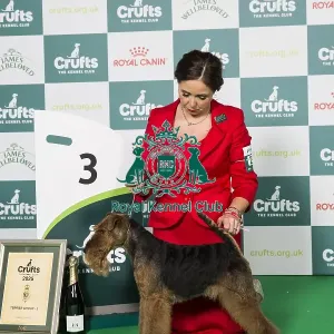Terrier Group 3