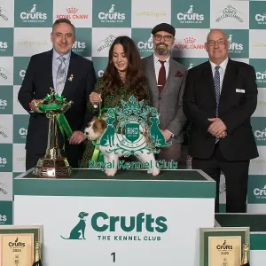Terrier Group Winner