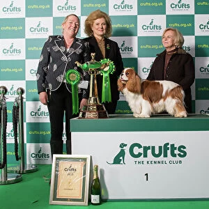 Toy Group 1st Place Crufts 2023