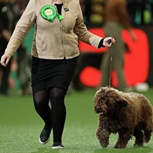 Viktoria Kyselova from Slovakia with Taco, a Spanish Water Dog, which was the Best of Breed winner today (Thursday 09. 03. 23), the first day of Crufts 2023, at the NEC Birmingham