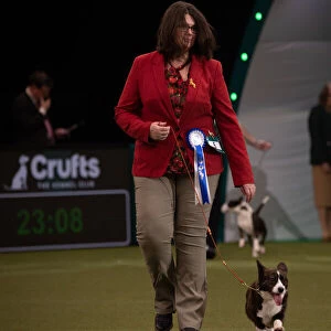 Vulnerable Breed competition Crufts 2022