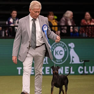 Vulnerable Breed Competition Crufts 2022