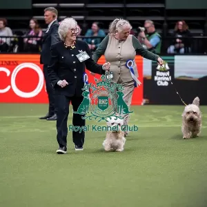 Vulnerable Breeds Competition Final