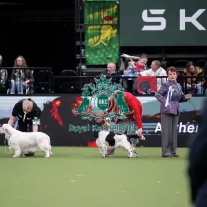 Vulnerable Breeds Competition Final