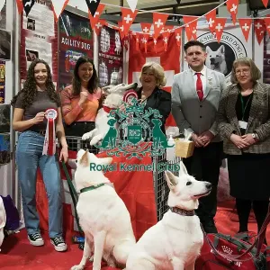 The White Swiss Shepherd Club being awarded the Best Discover Dogs Stand for the Pastoral Group and the Overall Winner for the Best Discover Dogs Stand at Crufts on Sunday 10th March 2024 by Alison Scutcher The White Swiss Shepherd Club being awarded the Best Discover Dogs Stand for the Pastoral Group and the Overall Winner for the Best Discover Dogs Stand at Crufts on Sunday 10th March 2024 by Alison Scutcher
