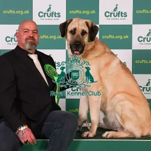 Wilken Thomas from Germany with Werner, a Turkish Kangal Dog, which was the Best of Breed winner today (Friday 10. 03. 23), the second day of Crufts 2023, at the NEC Birmingham
