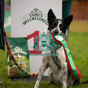 Winners_at_Scruffts_All_About_Dogs_Cornwall