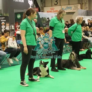 Have a go at working trials
