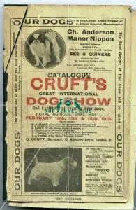 Dog catalogue sales