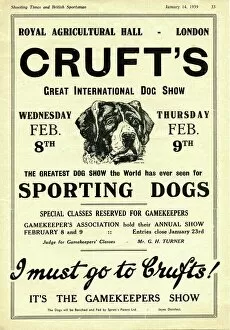 Editor's Picks: 1939 Crufts advert
