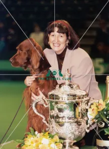Crufts 2017