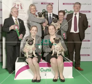 2015 breeders competition Crufts photo call podium 2015 breeders competition Crufts photo call podium