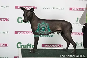 2018 Best of Breed AV Imported Register Utility