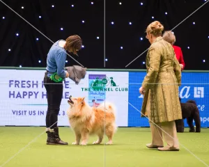 Being Judged