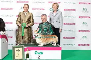 2018 Pastoral 2nd place Group Welsh Corgi (Pembroke)