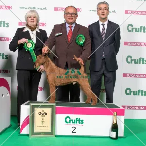 Terrier Group - winner