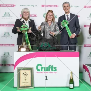 2018 Terrier Group Winner Scottish Terrier