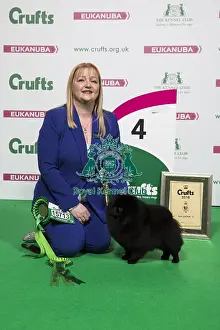 Best In Group Prints: 2018 Toy Group 4th place Pomeranian