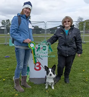 Prettiest Bitch Class Prints