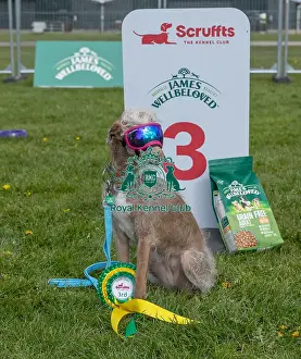 Third Place Prints: 21st April 2024 Scruffts Heat James Wellbeloved