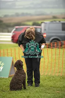 Good Citizen Dog Scheme Prints: 22/09/24 Cornwall Good Citizen Dog Scheme Scruffts