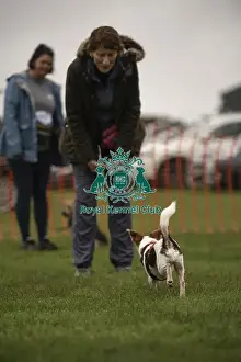22/09/24 Cornwall Good Citizen Dog Scheme Scruffts