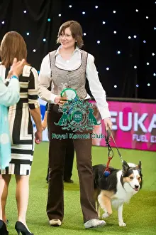 Border Collie Prints: 2nd from England