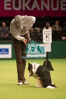 2nd place from England