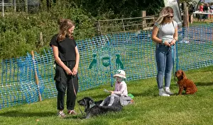 North East Dog Festival 2024 Prints: 31st August 2024 Candid Shot Most Handsome Crossbreed Dog Class