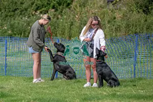 North East Dog Festival 2024 Prints: 31st August 2024 Candid Shot Most Handsome Crossbreed Dog Class
