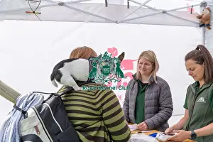 31st August 2024 Candid Shot Scruffts Heats Scruffts Family Crossbreed Of The Year Competition
