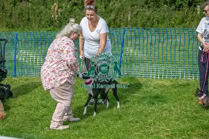 Good Citizen Dog Scheme Prints: 31st August 2024 Scruffts Heats Judging Good Citizen Dog Scheme