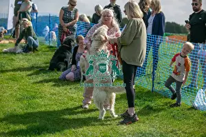 North East Dog Festival 2024 Prints: 31st August 2024 Scruffts Heats Prettiest Crossbreed Bitch Class