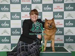 Finnish Spitz Prints: Abby Rolph, from Sommerset, with Thunder