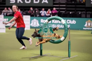 Friday Prints: ABC Agility