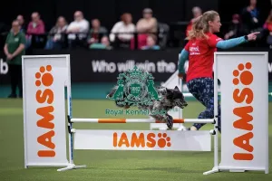 Agility Prints: ABC Agility