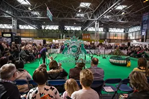 Activities ring
