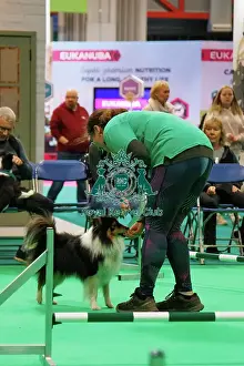 Have A Go Prints: Have a go Agility