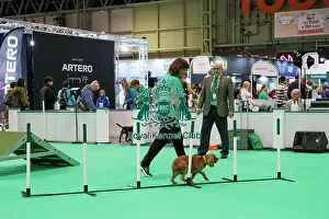 Have A Go Prints: Have a go Agility
