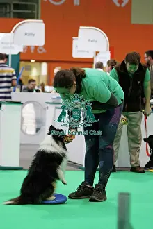 Have a go Agility