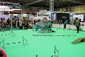 Have A Go Prints: Have a go Agility