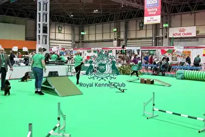 Have A Go Prints: Have a go Agility