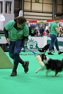 Playing Prints: Have a go Agility