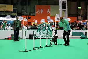 Have A Go Prints: Have a go Agility